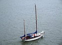Happy Sailer